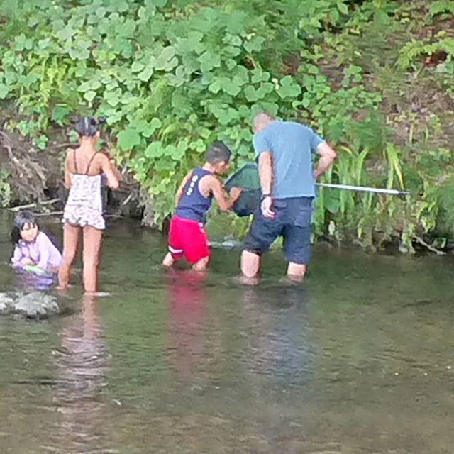 夏の思い出に、武茂川に遊びに来て下さい。イメージ