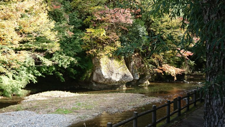 紅葉がはじまりました。イメージ