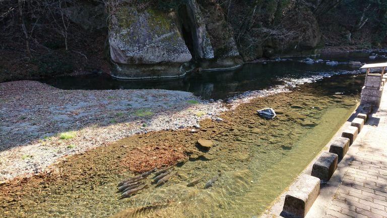 岩姫様の化身あらわるイメージ