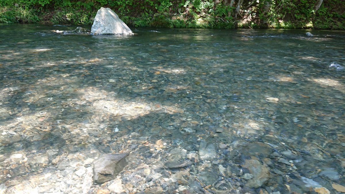 今日の武茂川 ｜ 御前岩物産センター