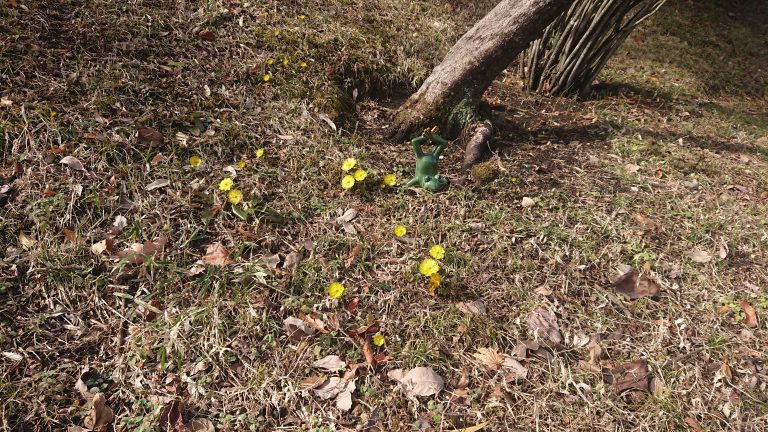 御前岩花だよりイメージ