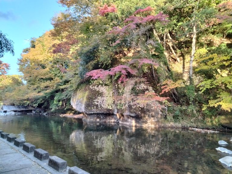 紅葉・始まりました。イメージ