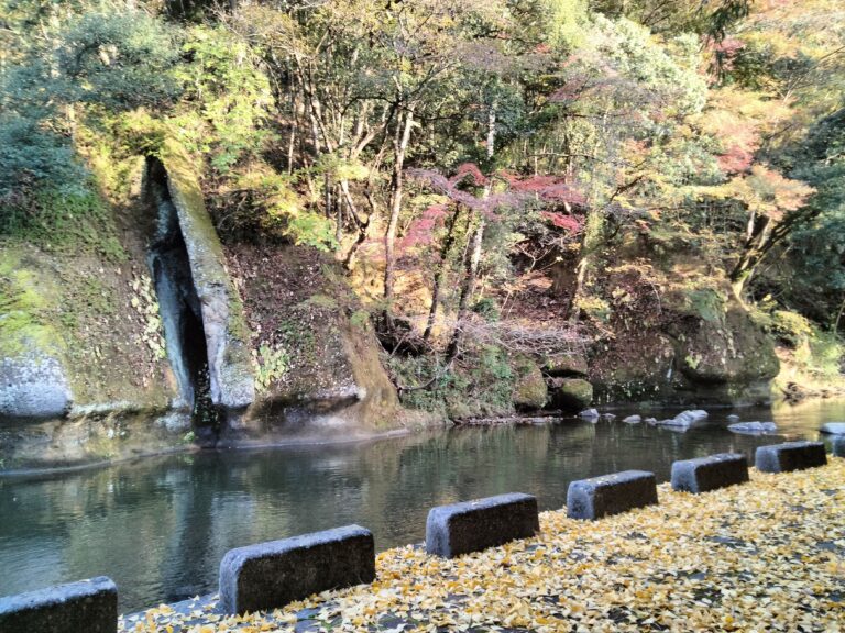 紅葉が始まりました。イメージ