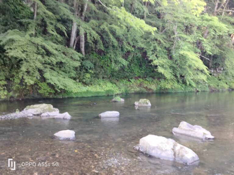 新緑と川の御前岩イメージ