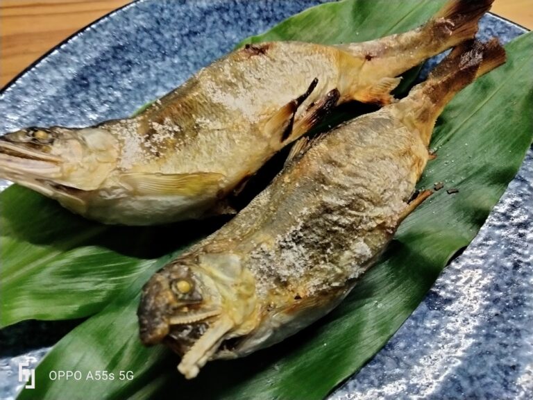 鮎塩焼きイメージ