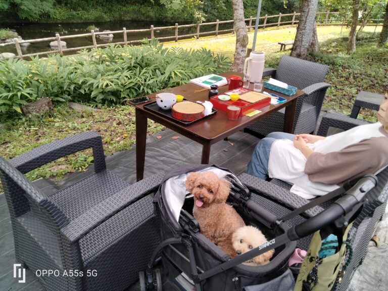今日のワンちゃんイメージ