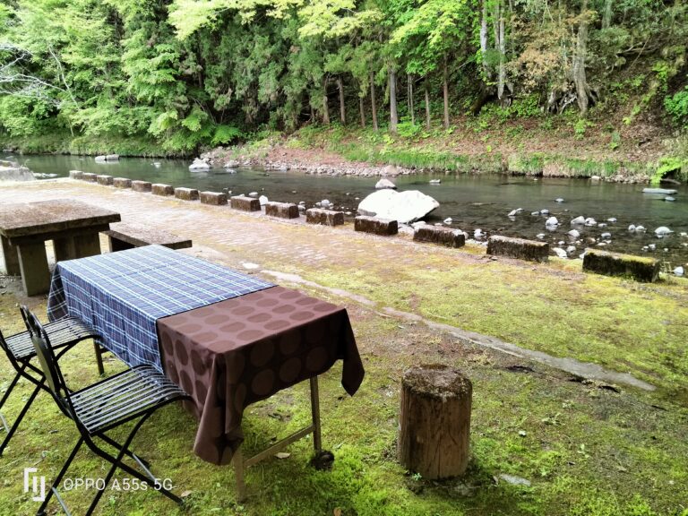 GW中のワンちゃんへイメージ