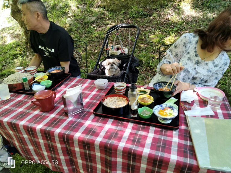 昨日のワンちゃんイメージ